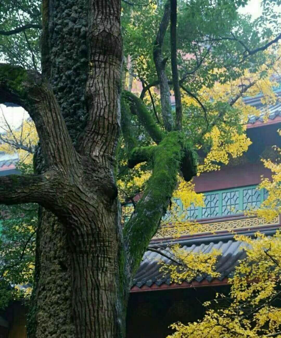 潤滑油基礎知識（二）