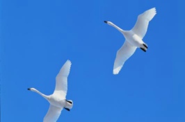 2017規模以上工企利潤增長21%