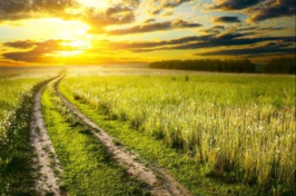 全球變暖是必須解決的首要任務